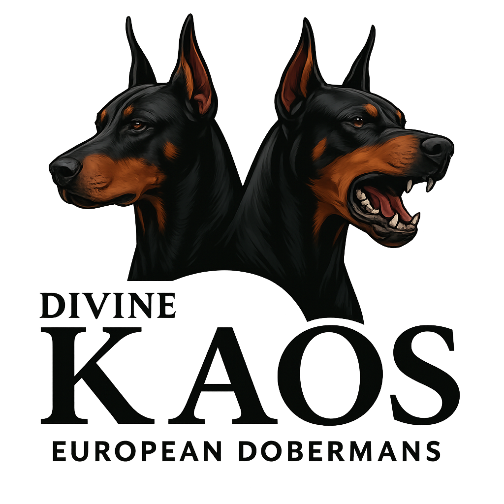 Divine Kaos Logo